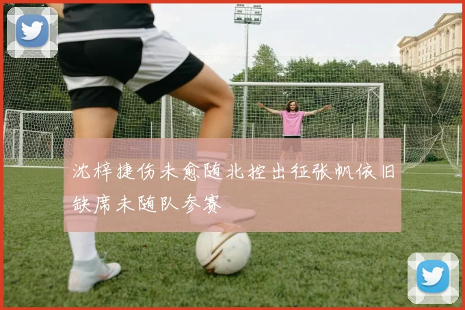 沈梓捷伤未愈随北控出征张帆依旧缺席未随队参赛