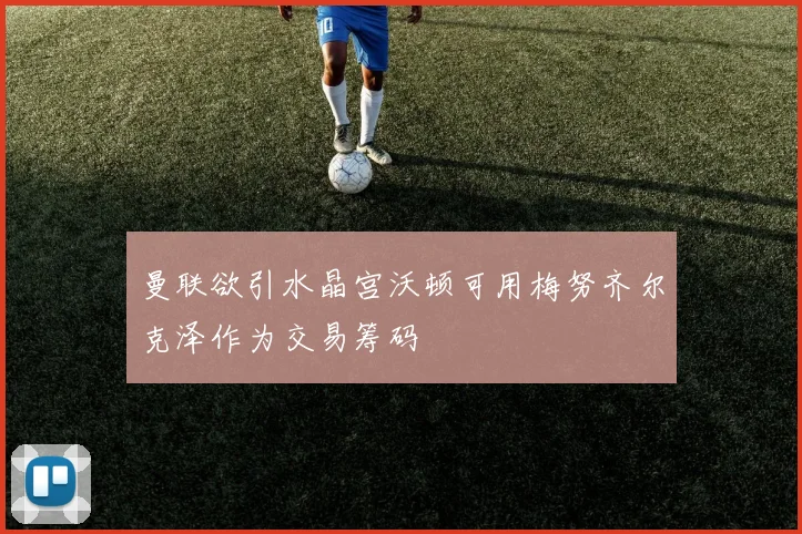 曼联欲引水晶宫沃顿可用梅努齐尔克泽作为交易筹码