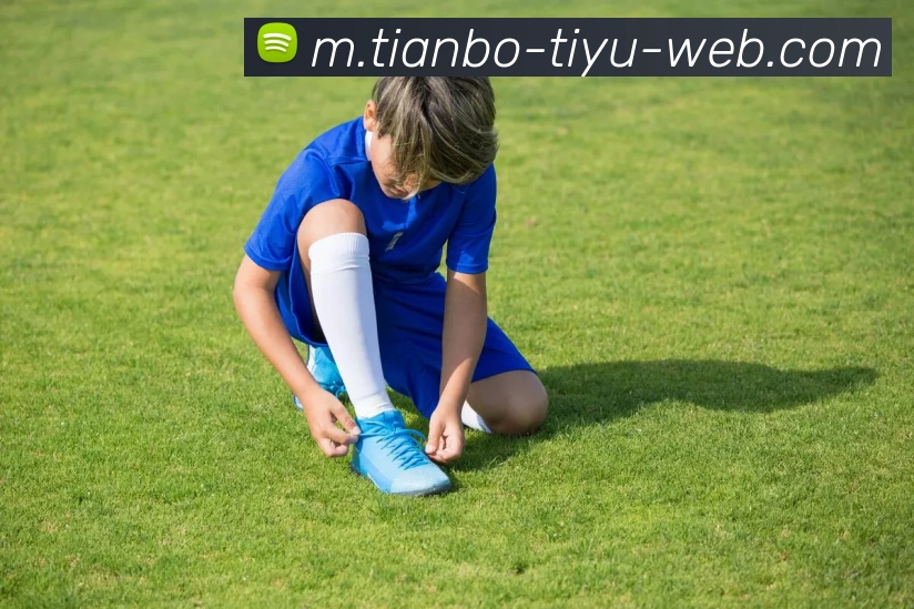 天博体育平台生态图