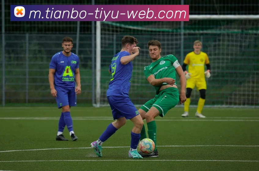 天博体育全站App